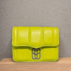 Bolsa Schutz